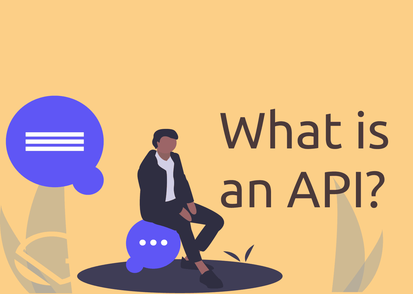 What is an API?